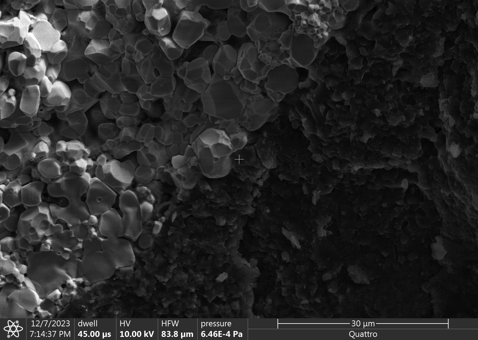 Dendrite Project